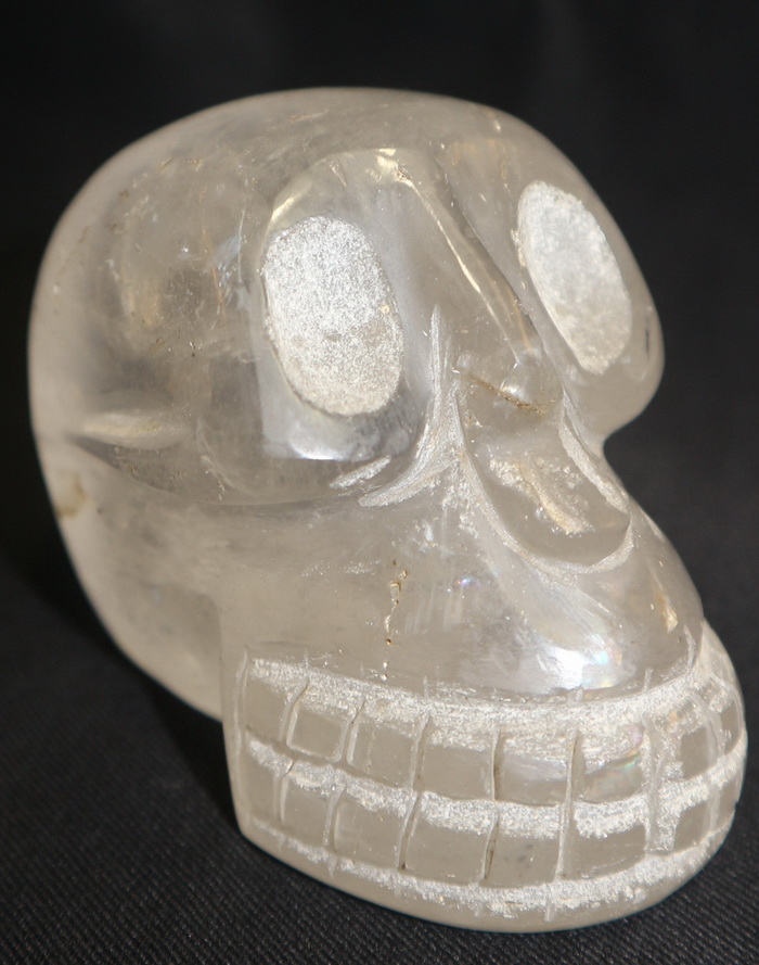 Monkey skull