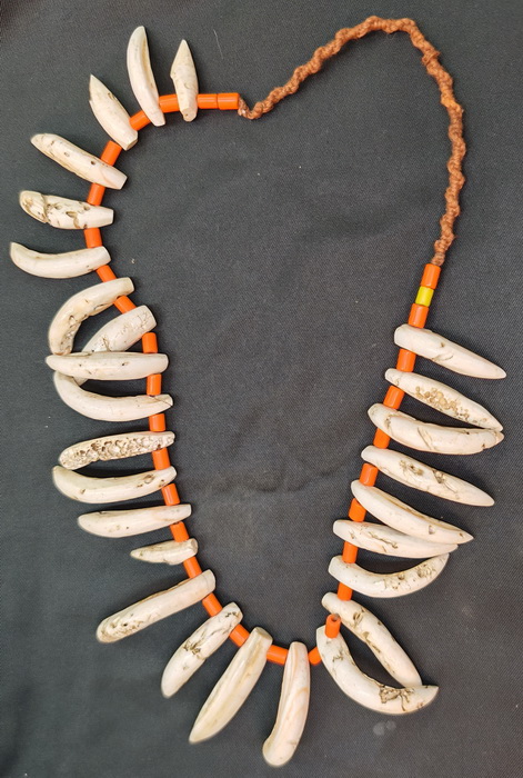 Shaman necklace