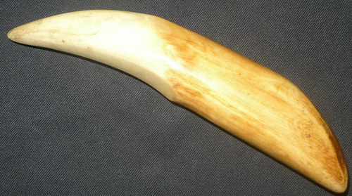 Carved bone tiger tooth alike