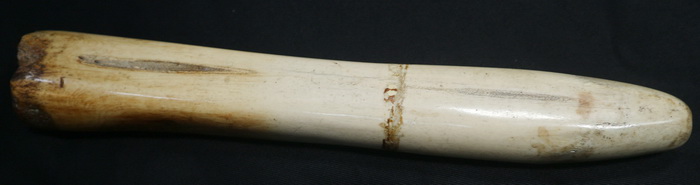 Polished bone