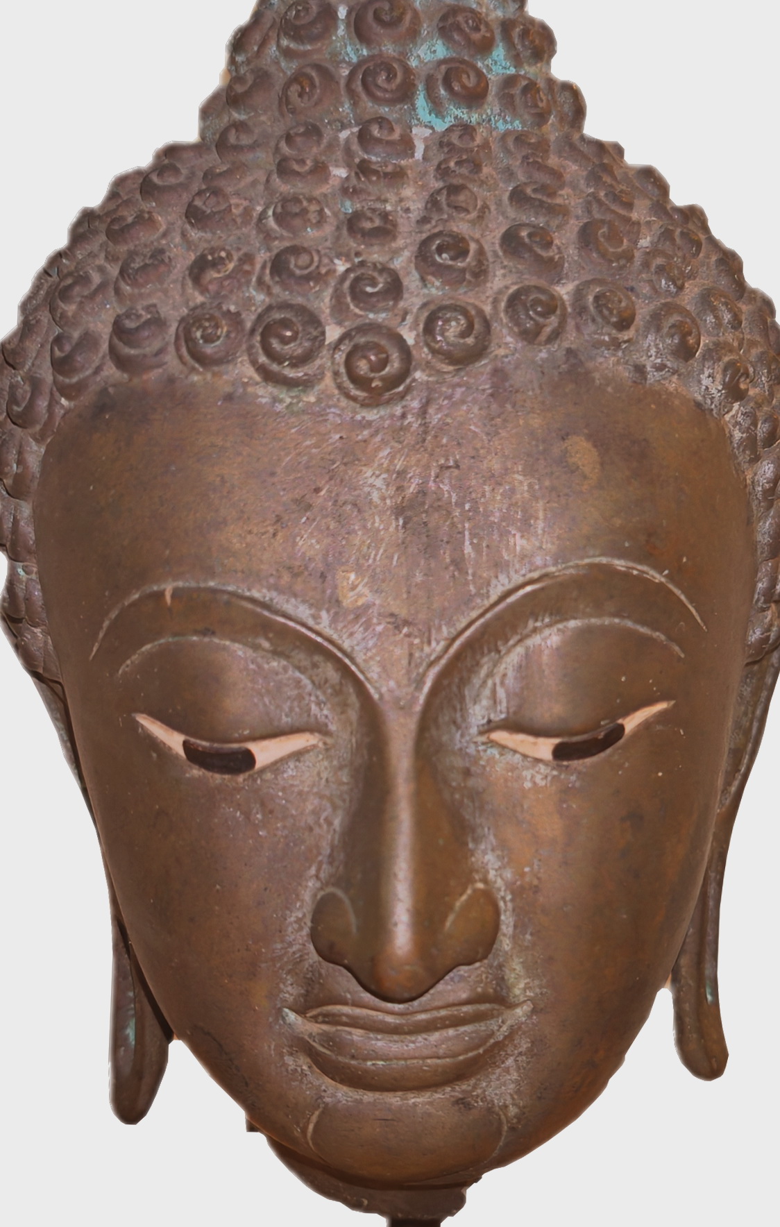 Ayutthaya Buddha Head