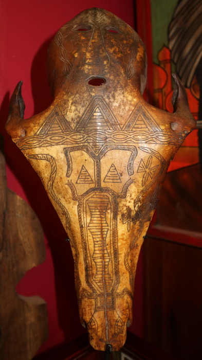 Decorated aboriginal ox skull